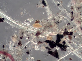 Forest Fire Dust