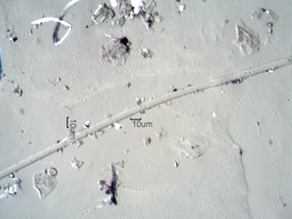Glass Fiber from Partition Pad