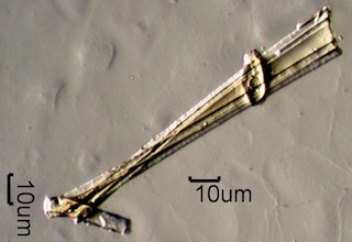 Glass Fiber With Filled Resin