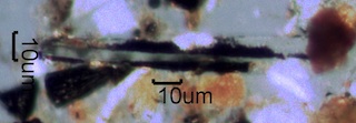 Charred Fiberglas from a Kitchen Fire