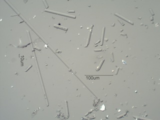 Gypsum Board Glass Fiber
