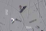 Kiln Glass Fiber