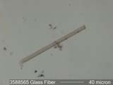 Glass Fiber From An LTC