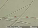 Glass Fiber from Pink Blanket Insulation