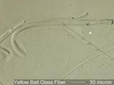 Glass Fiber from Yellow Blanket Insulation