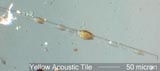 Phenolic Ceiling Tile 100X