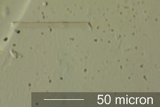 Glass Fiber Look-A-Like
