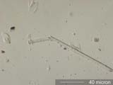 Glass Fiber Look-A-Like