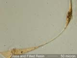 Glass Fiber With Filled Resin