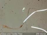 Glass Fiber With Filled Resin