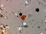 Goethite