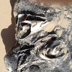Beach Sand From Grand Turk, Caribean Sea