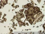 Graphite Dust