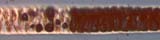 Guinea Pig +200X Mid Shaft2