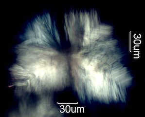 Sulfate Test