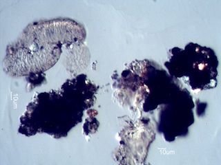 HVAC System Agglomerate