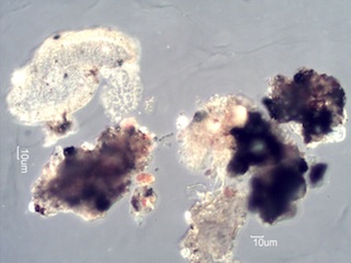 HVAC System Agglomerate