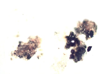 HVAC System Agglomerate