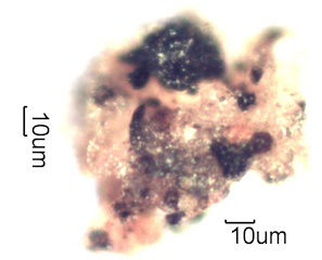 HVAC System Agglomerate
