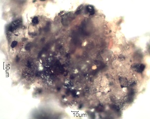 HVAC System Agglomerate