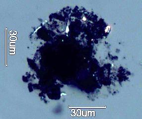 HVAC System Agglomerate