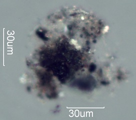 HVAC System Agglomerate
