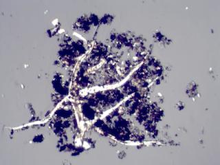 HVAC System Agglomerate