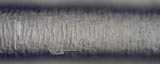 Caribou Hair