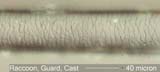 HairRacGuardCastMid