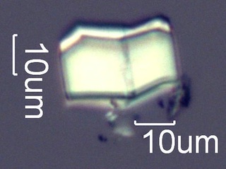 Calcium Oxalate Twins