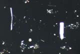 Fibrous Talc