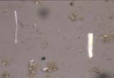 Fibrous Talc