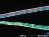 Hemp Fiber