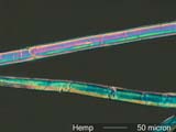 Hemp Fiber