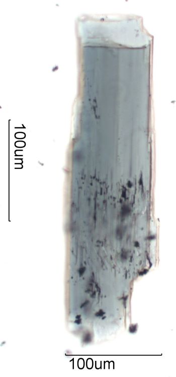 Hornblende