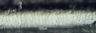 Horse Hair Scale Pattern