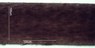 Horse Hair