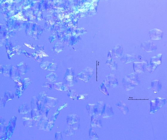 Human Skin Flakes
