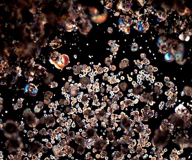 Hydrated Cement Dust