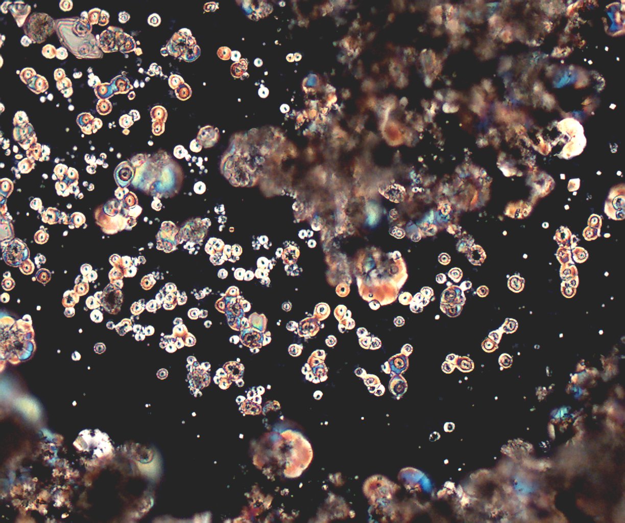Hydrated Cement Dust
