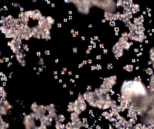 Hydrated Cement Dust