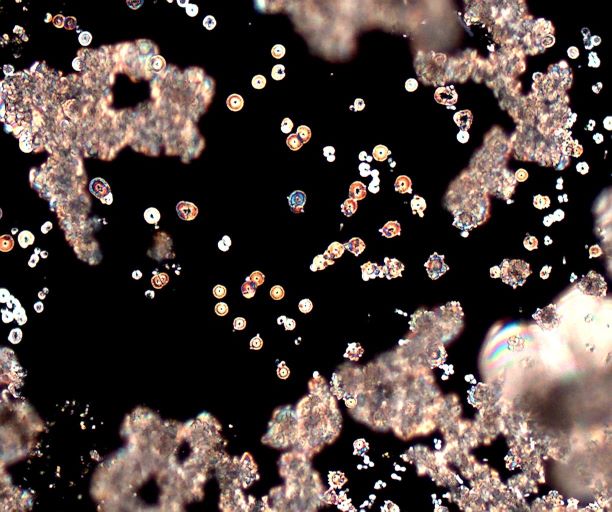 Hydrated Cement Dust