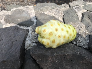 Noni