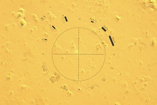 Field 1 with Improper Phase Alignment