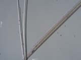 Gas Turbine Exaust Glass Fiber