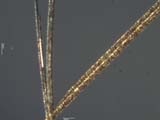 Gas Turbine Exaust Glass Fiber