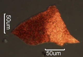 Iron Mill Scale Under the Microscope