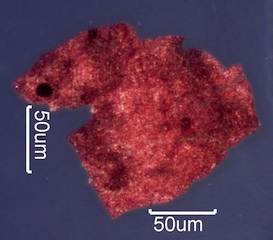 Iron Mill Scale Under the Microscope