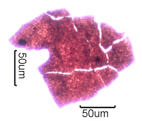 Iron Mill Scale Under the Microscope