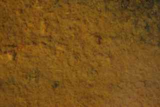 Iron-Loving Bacterial Mat